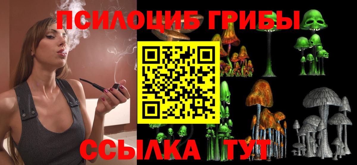 Псилоцибиновые грибы Cubensis Вятские Поляны