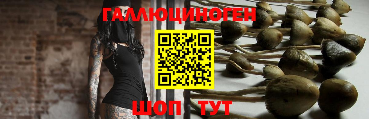 сколько стоит  Галлюциногенные грибы ЛСД  Вход с VPN  Вятские Поляны 